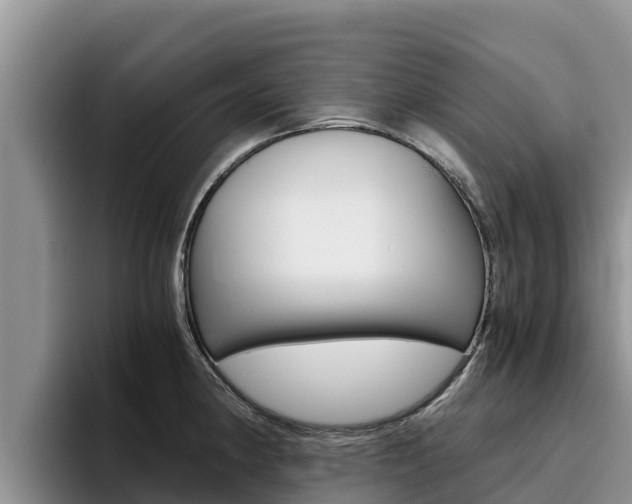 X0000096221190200801181023