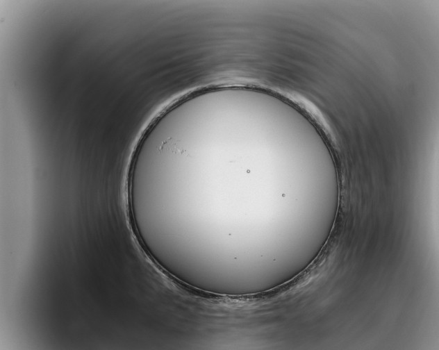 X0000096221191200801181023