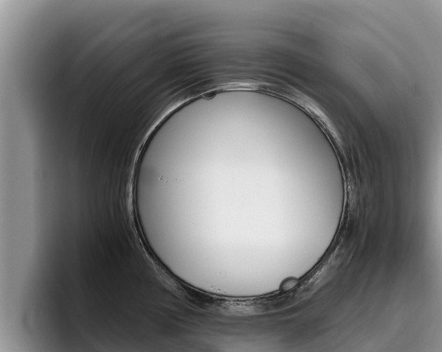 X0000096221194200801181023