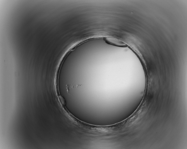 X0000096221197200801181023