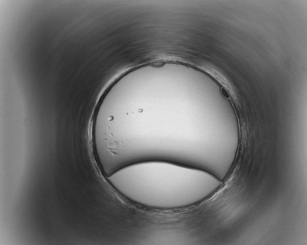 X0000096221198200801181023