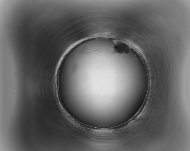 X0000096221200200801181023