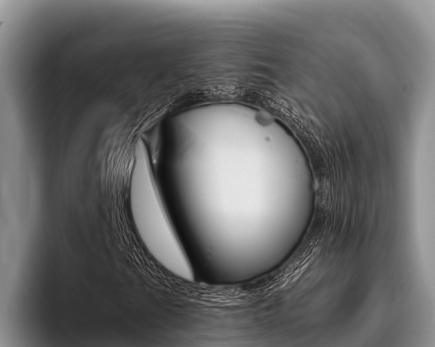 X0000096221201200801181022