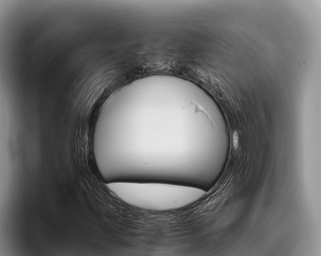 X0000096221203200801181022