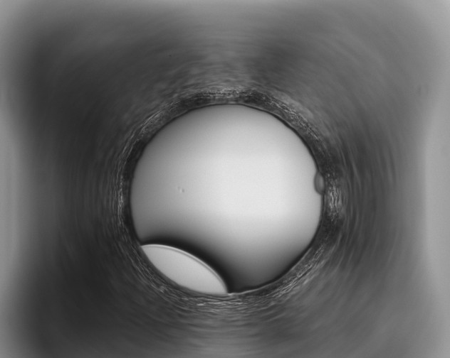 X0000096221204200801181022