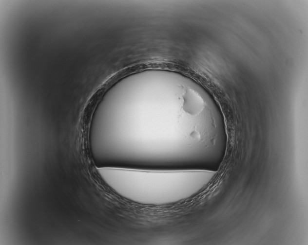 X0000096221208200801181022
