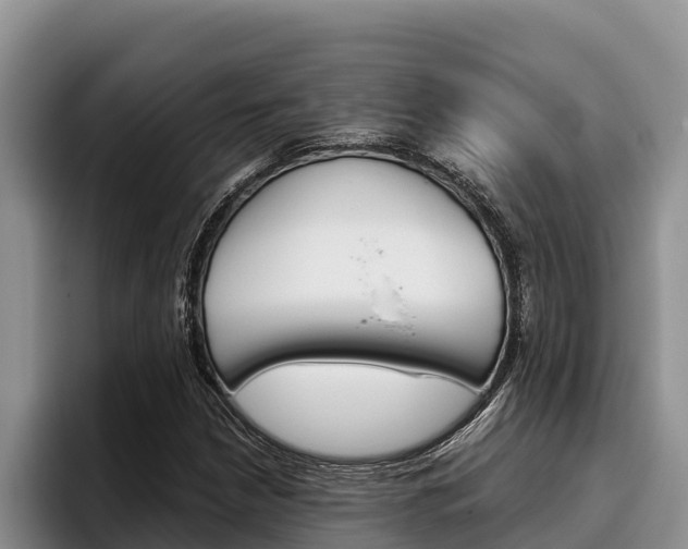 X0000096221210200801181022