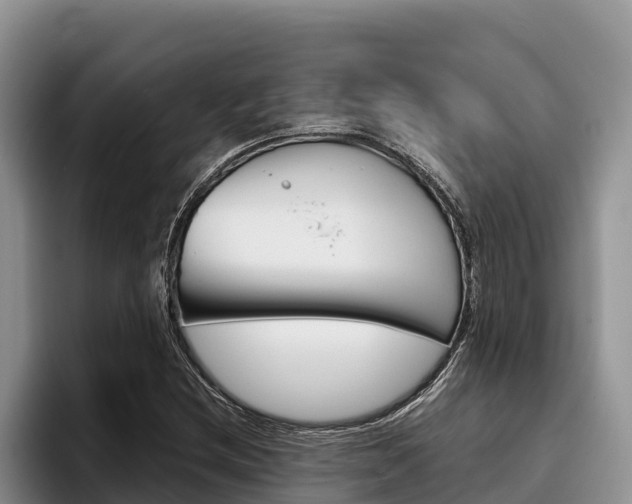 X0000096221212200801181023