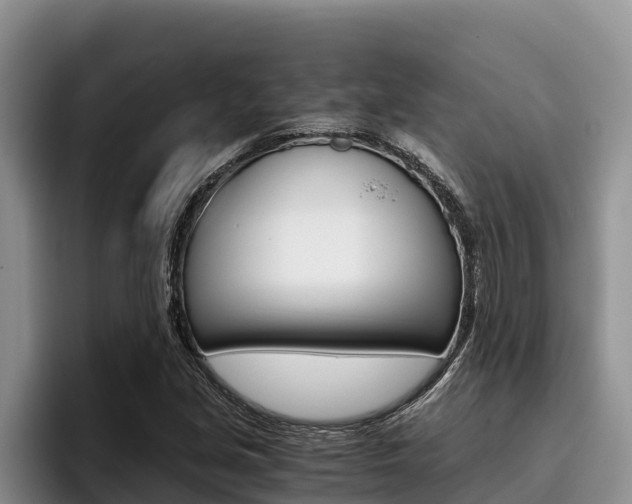 X0000096221213200801181023