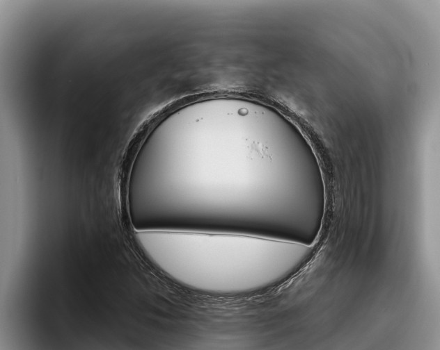 X0000096221214200801181023