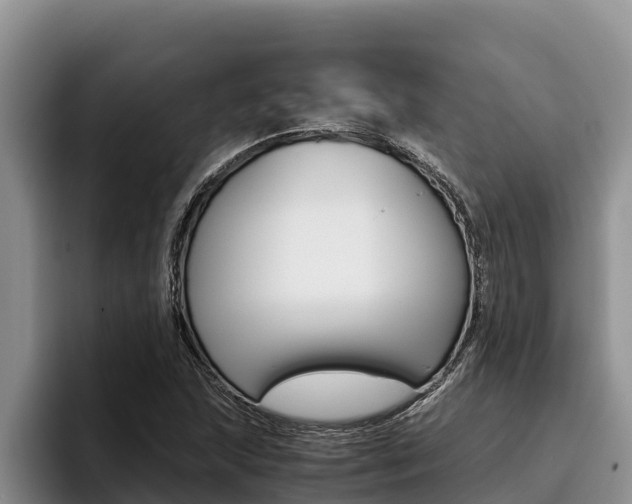 X0000096221215200801181023