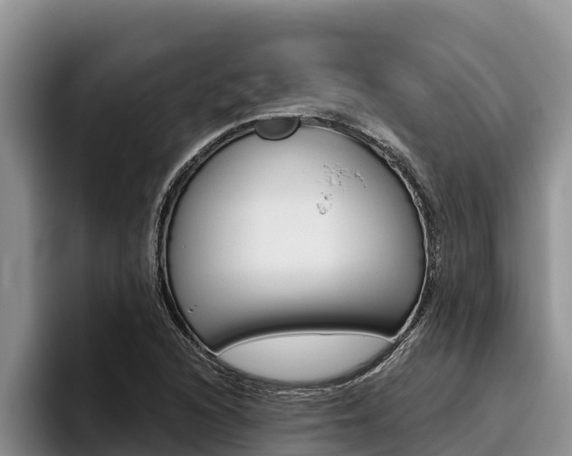 X0000096221216200801181023