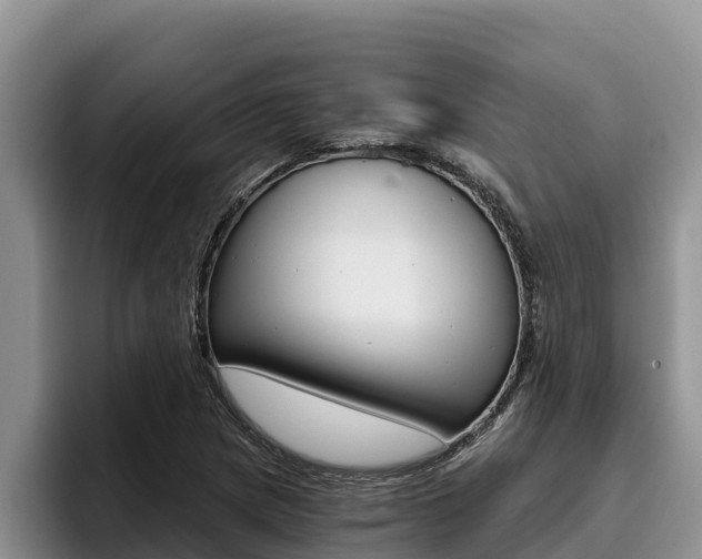 X0000096221217200801181023