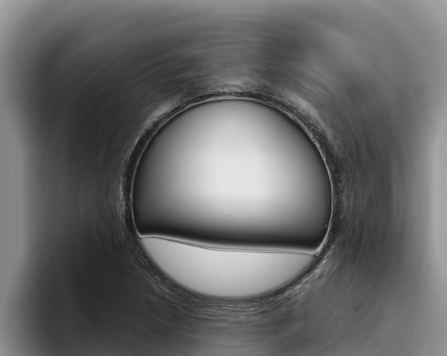 X0000096221218200801181023