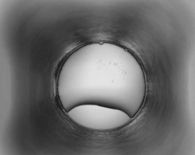 X0000096221219200801181023