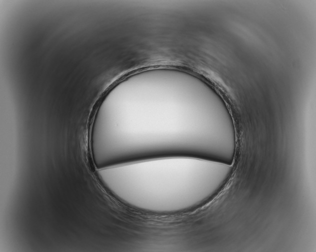X0000096221220200801181023