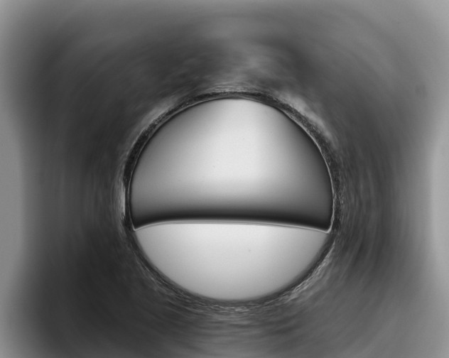X0000096221221200801181023