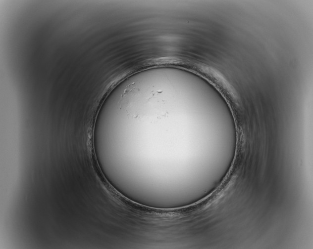 X0000096221225200801181023