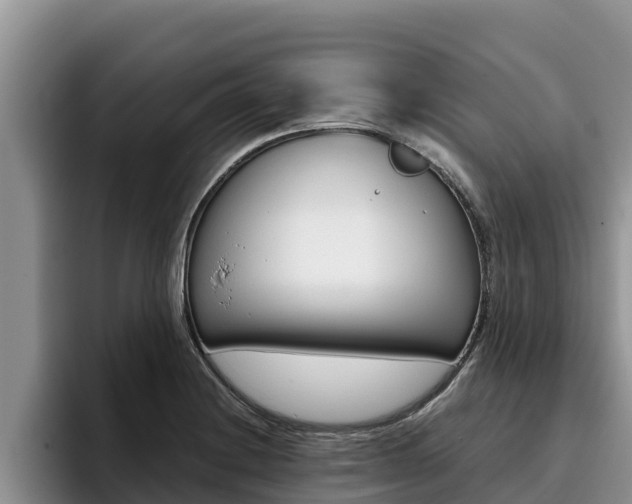 X0000096221228200801181023