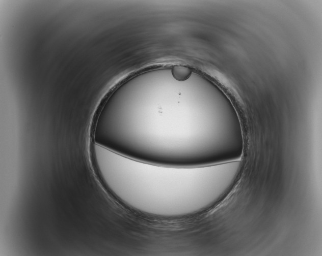 X0000096221229200801181023