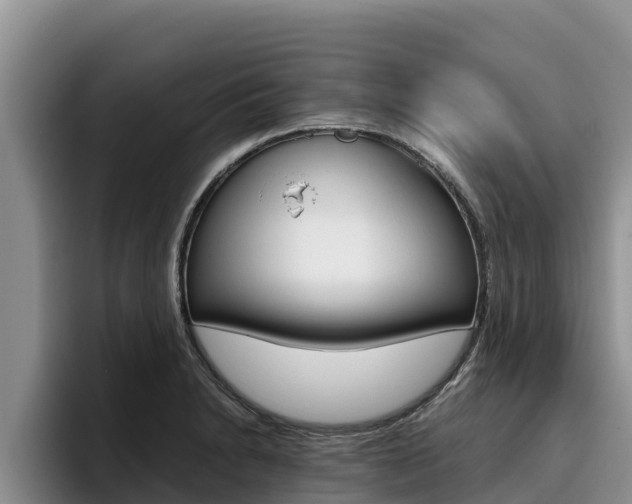 X0000096221230200801181023