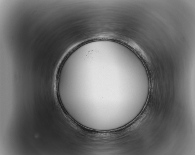 X0000096221232200801181023