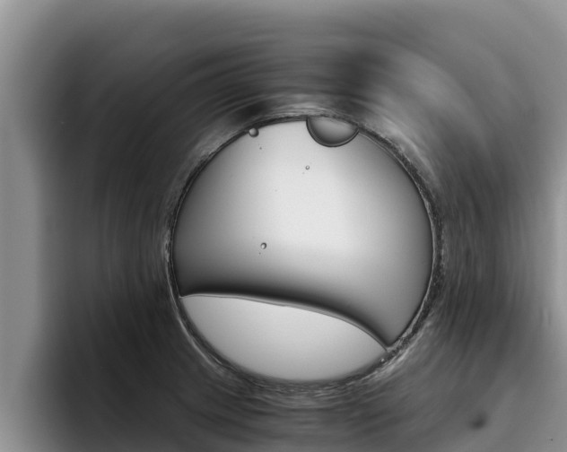 X0000096221233200801181023