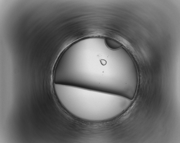 X0000096221234200801181023