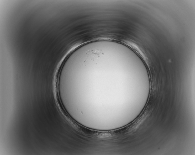 X0000096221235200801181023