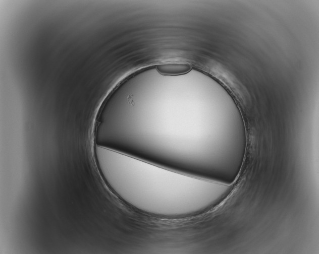 X0000096221236200801181023