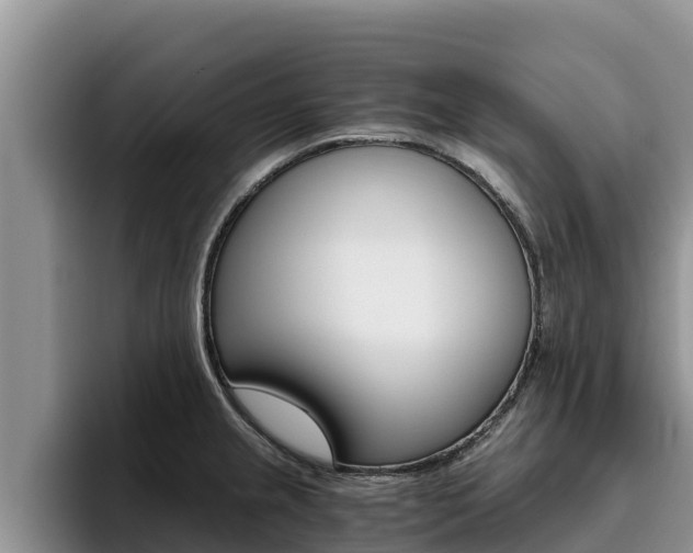 X0000096221237200801181023