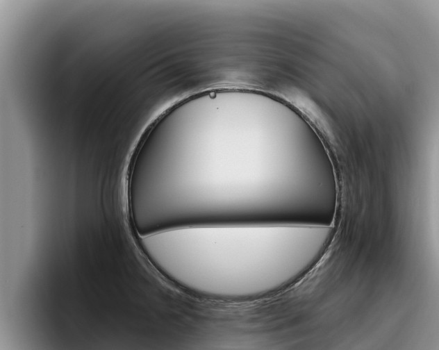 X0000096221238200801181023