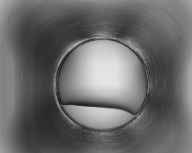 X0000096221239200801181023