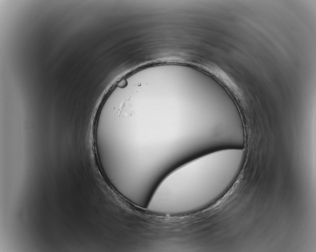 X0000096221240200801181023