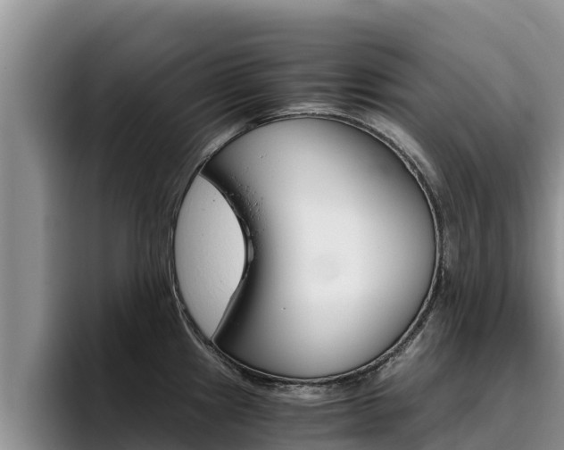 X0000096221241200801181023