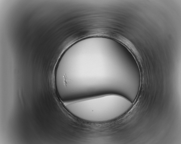 X0000096221242200801181023
