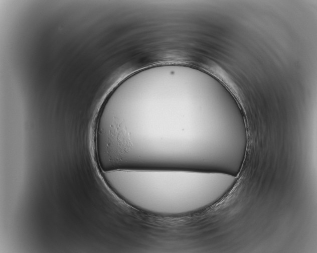 X0000096221243200801181023
