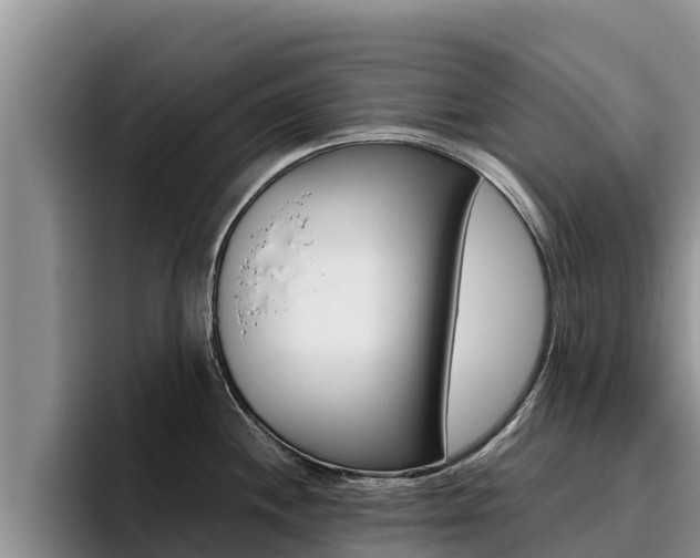 X0000096221244200801181023
