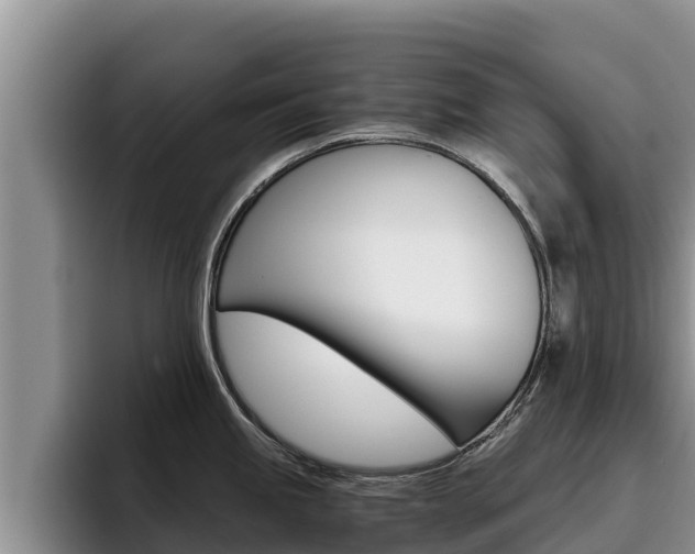 X0000096221245200801181023