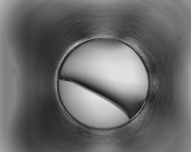 X0000096221246200801181023