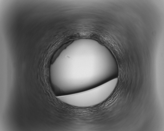 X0000096221249200801181022