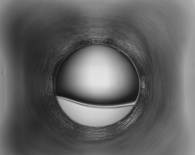 X0000096221252200801181022