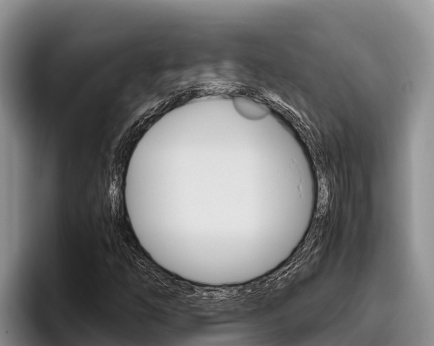 X0000096221254200801181022