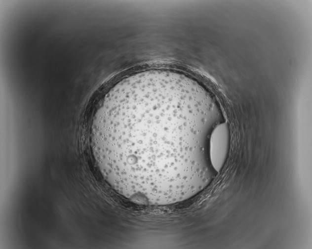 X0000096221255200801181022