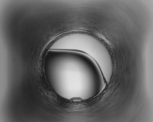 X0000096221256200801181022