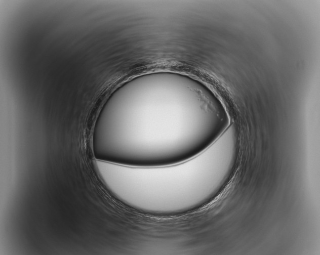 X0000096221257200801181022