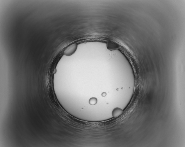 X0000096221259200801181022