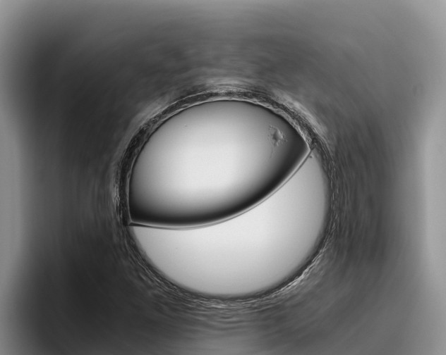 X0000096221261200801181022
