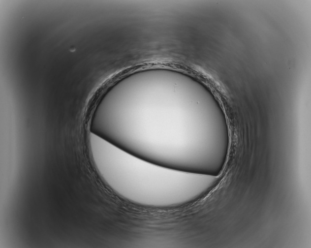 X0000096221262200801181022