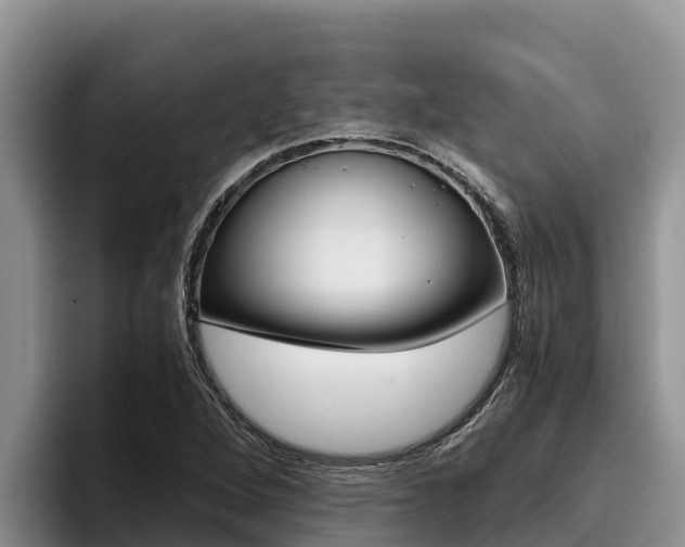 X0000096221264200801181022